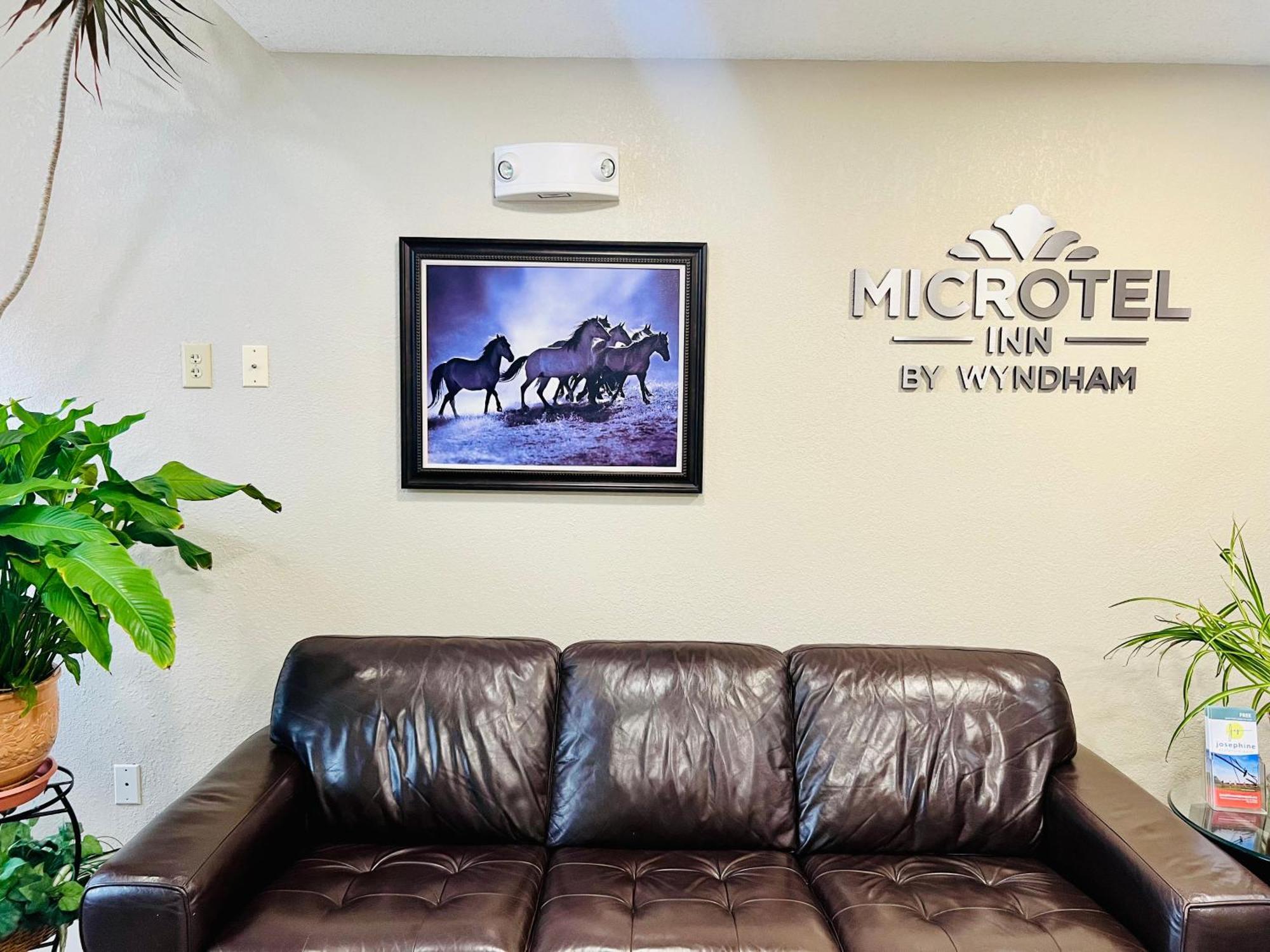 Microtel - Lexington North Hotel